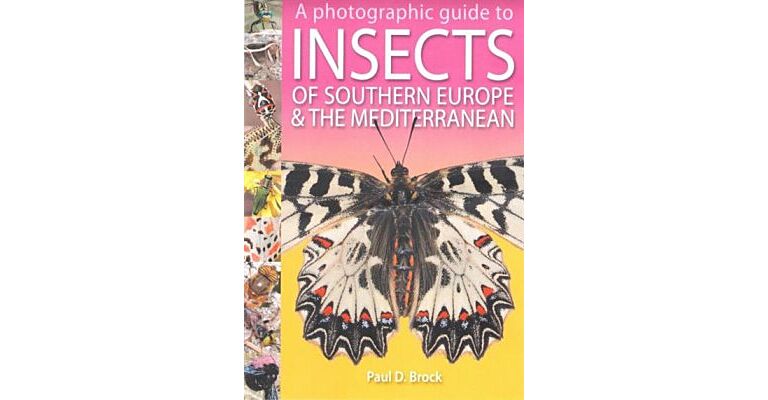 A Photographic Guide to Insects of Southern Europe and the Mediterranean