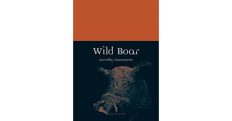 Wild Boar