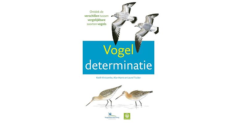 Vogeldeterminatie: Ontdek de verschillen tussen vergelijkbare soorten vogels