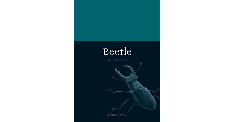 Beetle