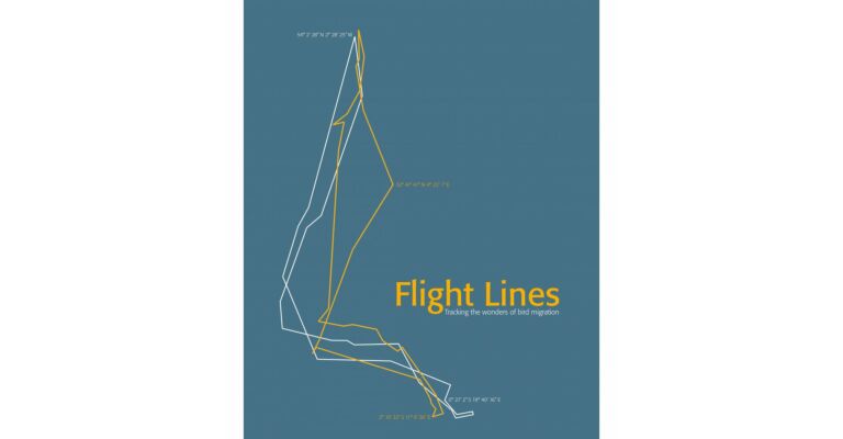 Flight Lines: Tracking the Wonders of Bird Migration