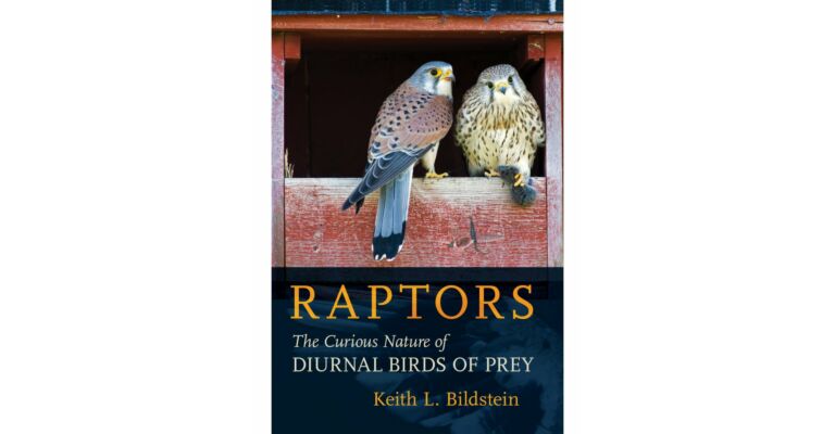 Raptors - The Curious Nature of Diurnal Birds of Prey