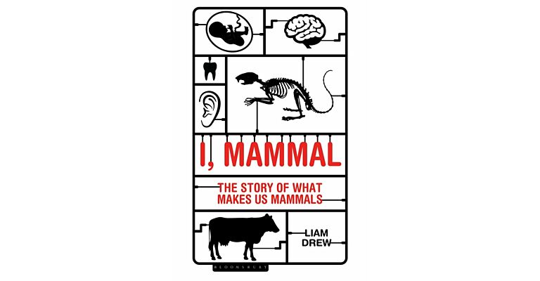 I, Mammal - The Story of What Makes Us Mammals (PBK)