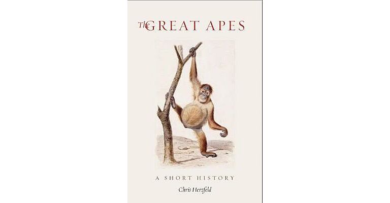 The Great Apes - A Short History