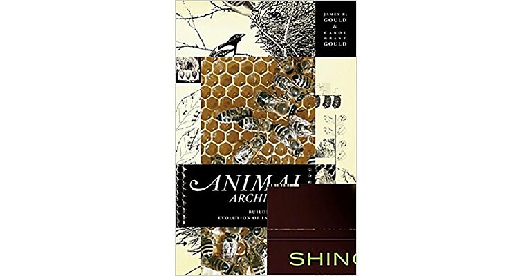 Animal Architects: Building and the Evolution of Intelligence