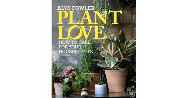Plant Love - How to Care for Your Houseplants