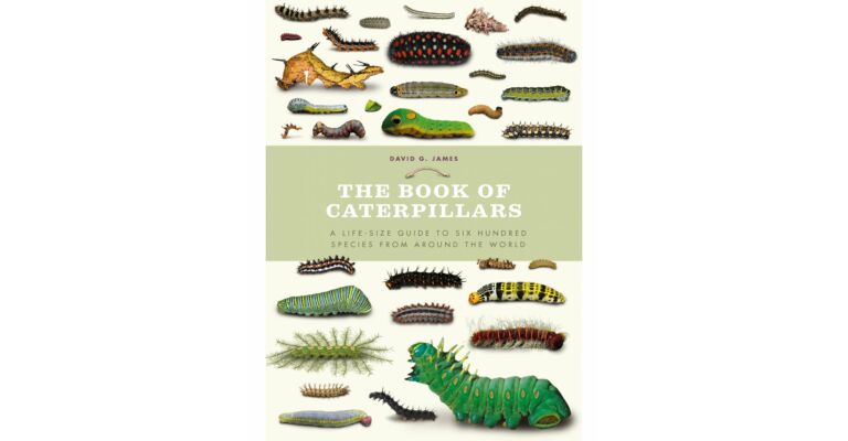 The Book of Caterpillars