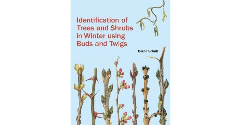 Identification of Trees and Shrubs in Winter Using Buds and Twigs
