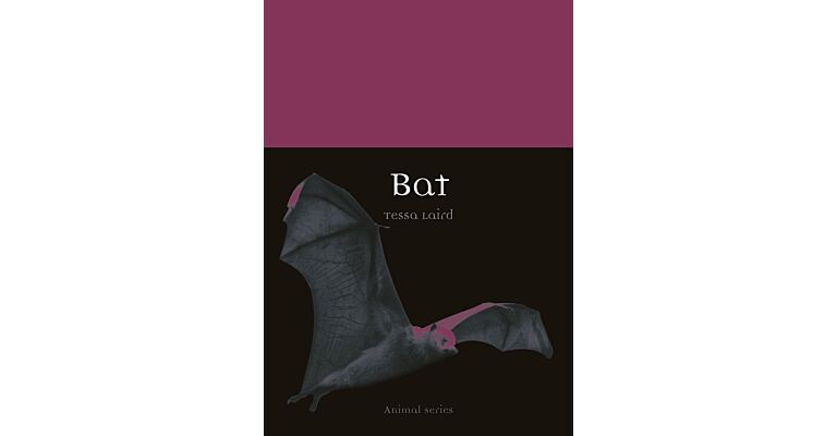 Bat