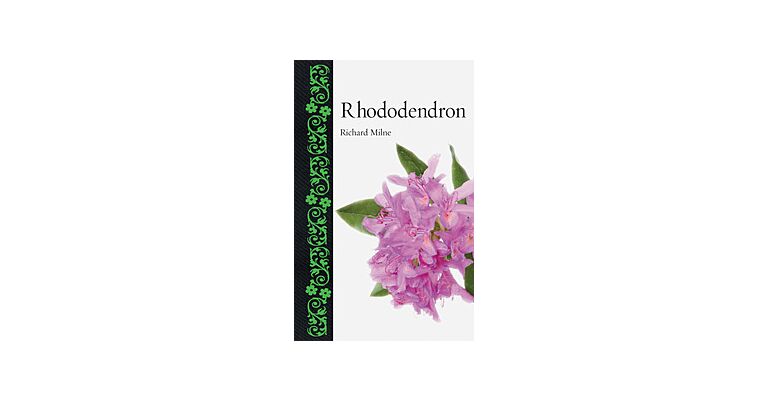 Rhododendron