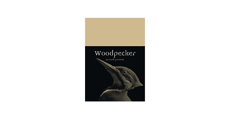 Woodpecker