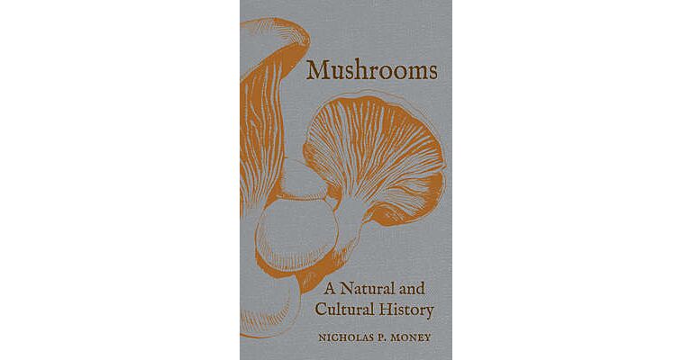 Mushrooms - Nature and Culture