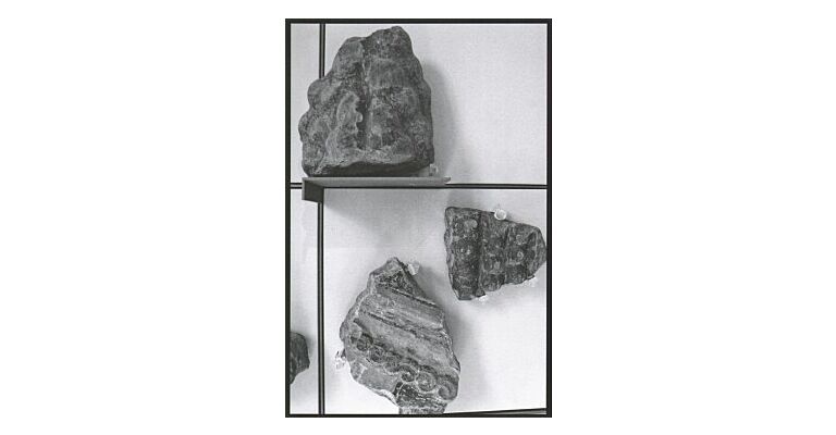 Aglaia Konrad - Schaubuch Skulptur (Looking At Sculpture)