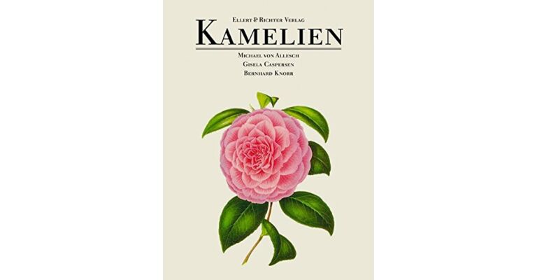 Kamelien