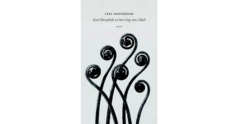 Karl Blossfeldt en het oog van Allah - Essay