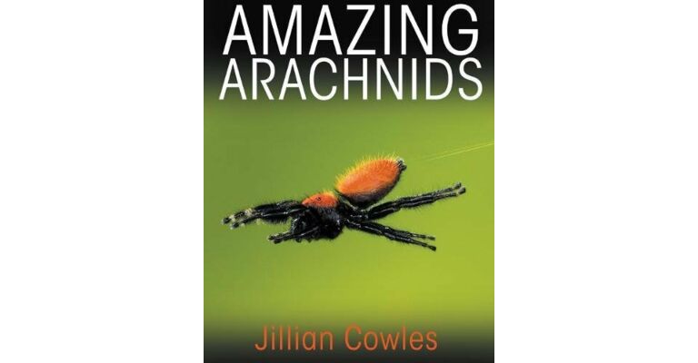 Amazing Arachnids