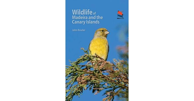 Wildlife of Madeira and the Canary Islands