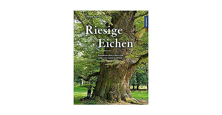 Riesige Eichen - Baumpersönlichkeiten und ihre Geschichte