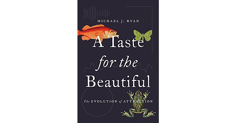 A Taste for the Beautiful: The Evolution of Attraction (hardcover)