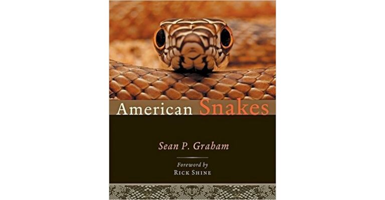 American Snakes