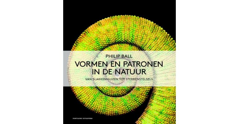 Vormen en Patronen in de Natuur - Van Slakkenhuizen tot Sterrenstelsels