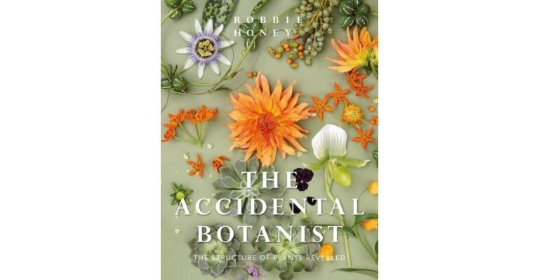 The Accidental Botanist - The Structure of Plants Revealed