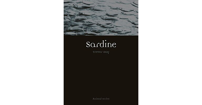 Sardine