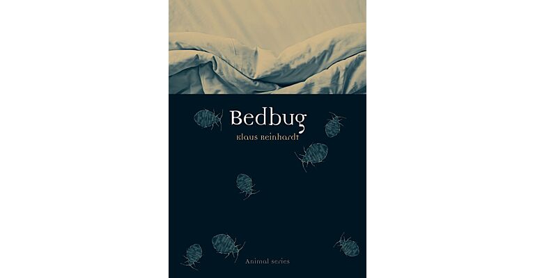 Bedbug