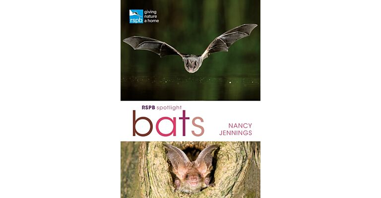 RSPB Spotlight - Bats