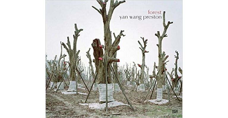 Yan Wang Preston - Forest