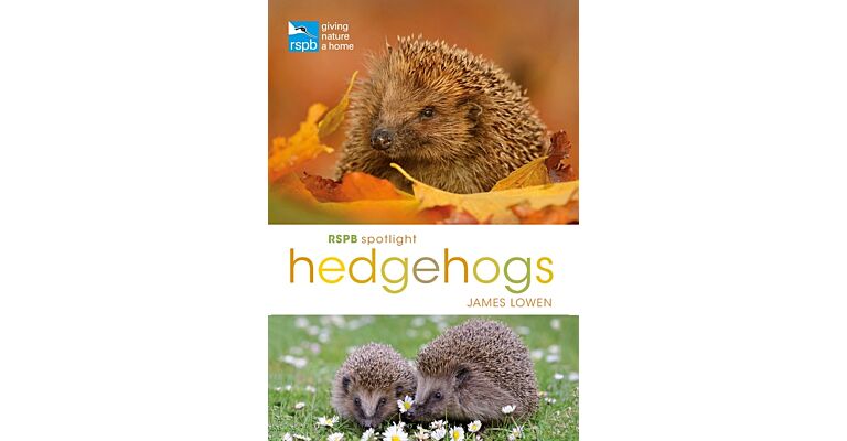 RSPB Spotlight - Hedgehogs
