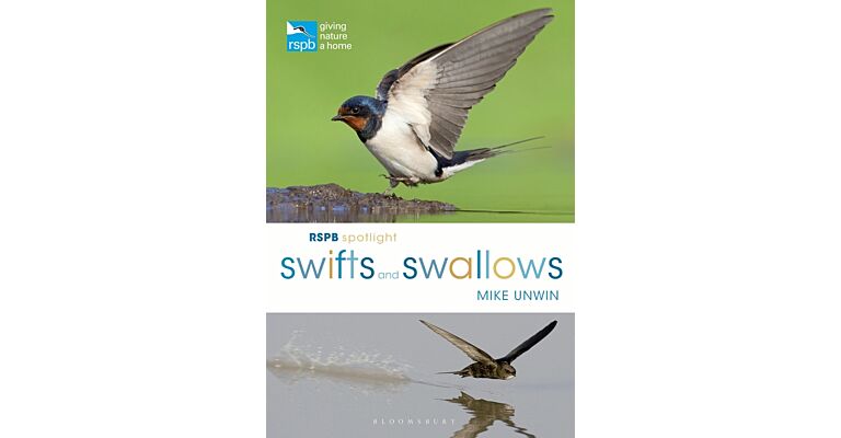 RSPB Spotlight - Swifts and Swallows
