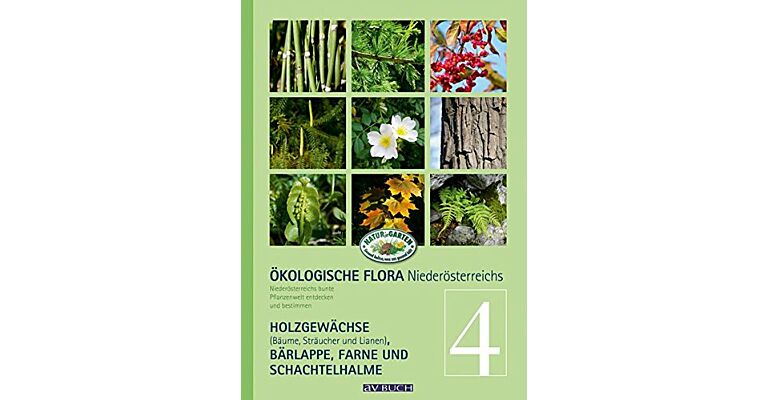 Ökologische Flora Niederösterreichs Band 4 - Holzgewächse (Bäume, Sträucher und Lianen)