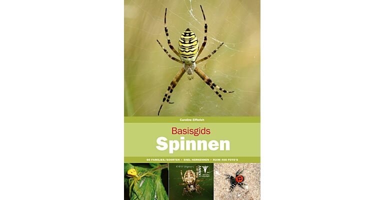 Basisgids Spinnen