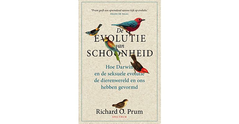 De evolutie van schoonheid