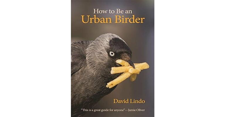 How to be an Urban Birder