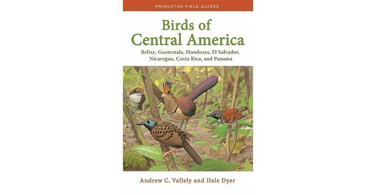 Princeton Field Guides Birds of Central America