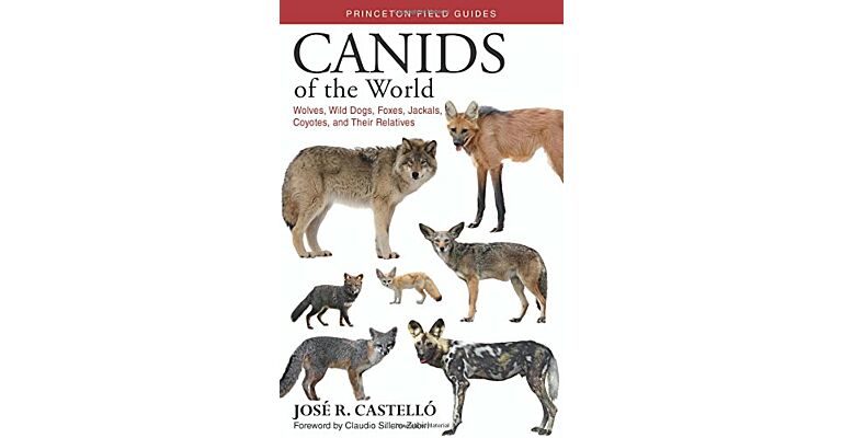 Canids of the World : Wolves, Wild Dogs, Foxes, Jackals, Coyotes, and their Relatives