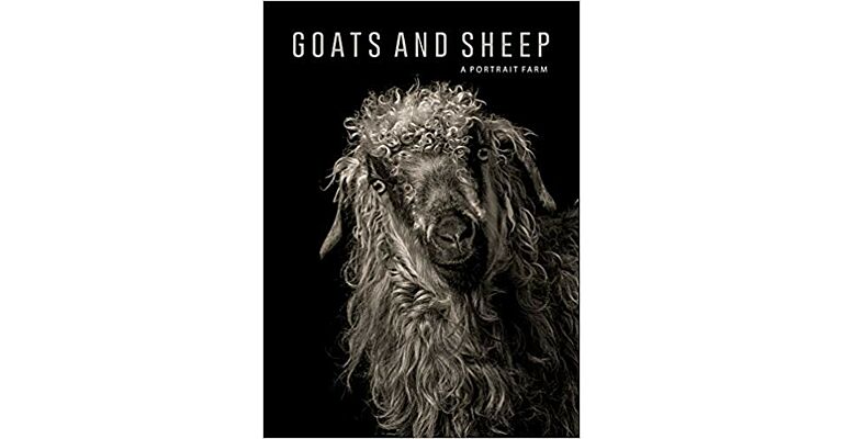 Goats and Sheep - A Portrait Farm