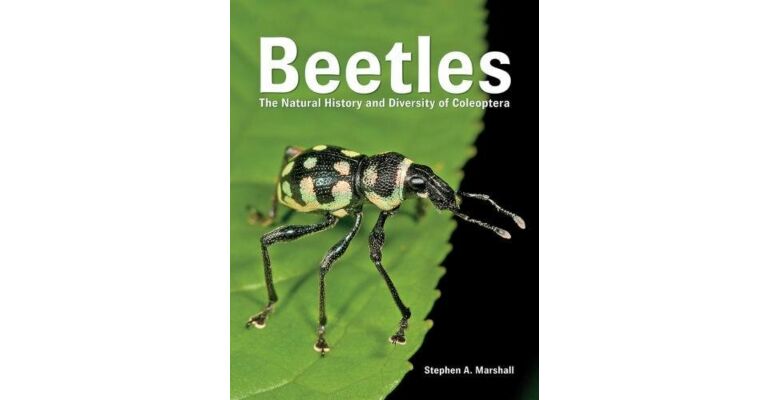 Beetles - The Natural History and Diversity of Coleoptera