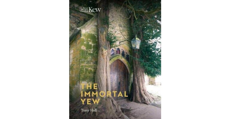 The Immortal Yew