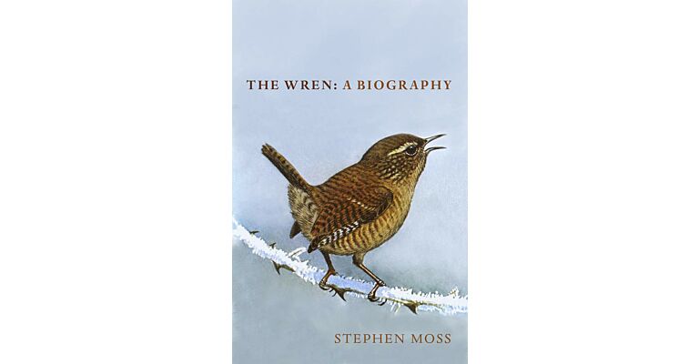 The Wren