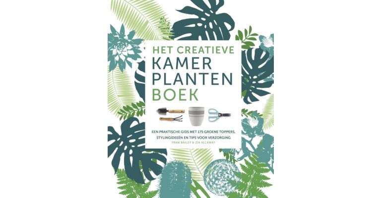 Het Creatieve Kamerplantenboek