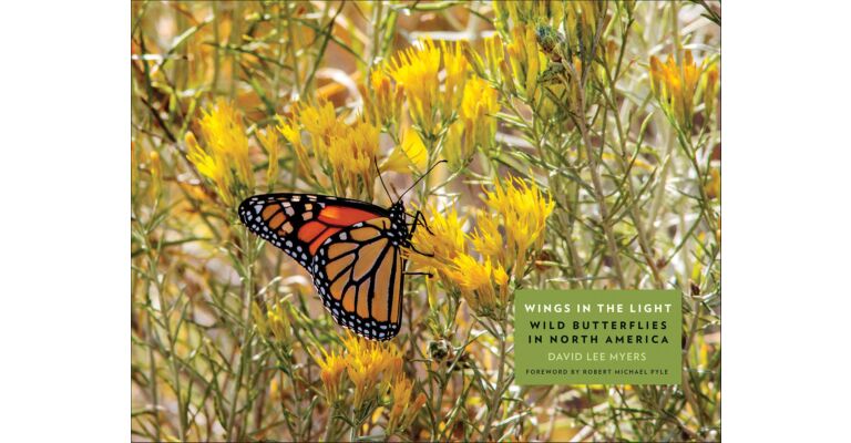 Wings in the Light - Wild Butterflies in North America