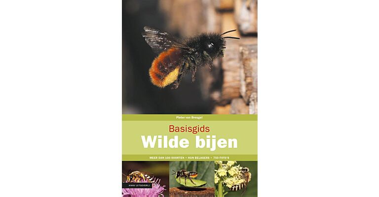 Basisgids Wilde Bijen