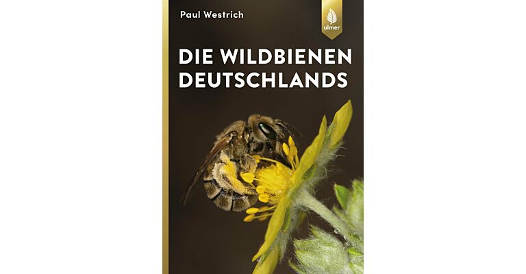 Die Wildbienen Deutschlands