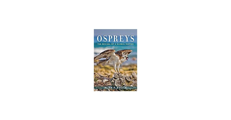 Ospreys - The Revival of a Global Raptor