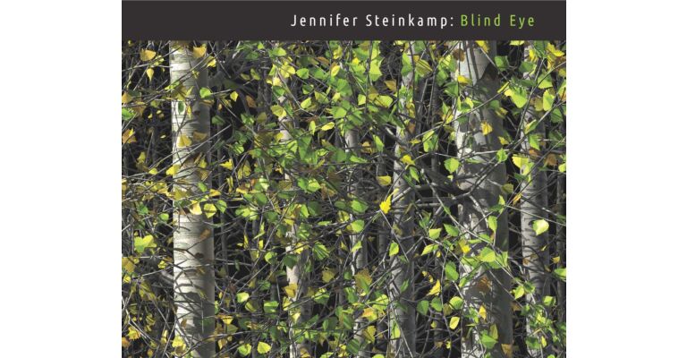 Jennifer Steinkamp - Blind Eye