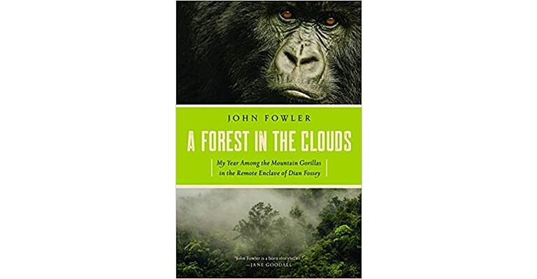 A Forest in the Clouds (PBK )