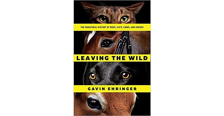 Leaving the Wild (paperback)